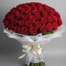 Букет 101 Красная роза Блэк Мэджик #REPLACE_PRED# Морозовске