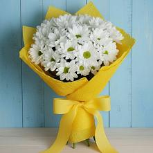 Букет цветов из:  Хризантемы #REPLACE_PRED# Морозовске