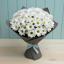 Букет цветов из:  Хризантемы в Морозовске