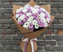 Букет цветов из:  Хризантемы в Морозовске