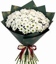 Букет цветов из:  Хризантемы в Морозовске