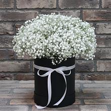 Цветочная композиция из Гипсофила в шляпной коробке в Морозовске