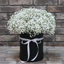 Цветочная композиция из Гипсофила в шляпной коробке в Морозовске
