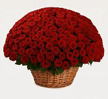 Премиум букет из: Розы в Морозовске