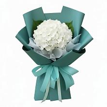 Букет цветов из:  Гортензия в Морозовске